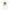 Damen Frontprint Shirt Snowtigz Golden Hype mit Tigerinnen Motiv